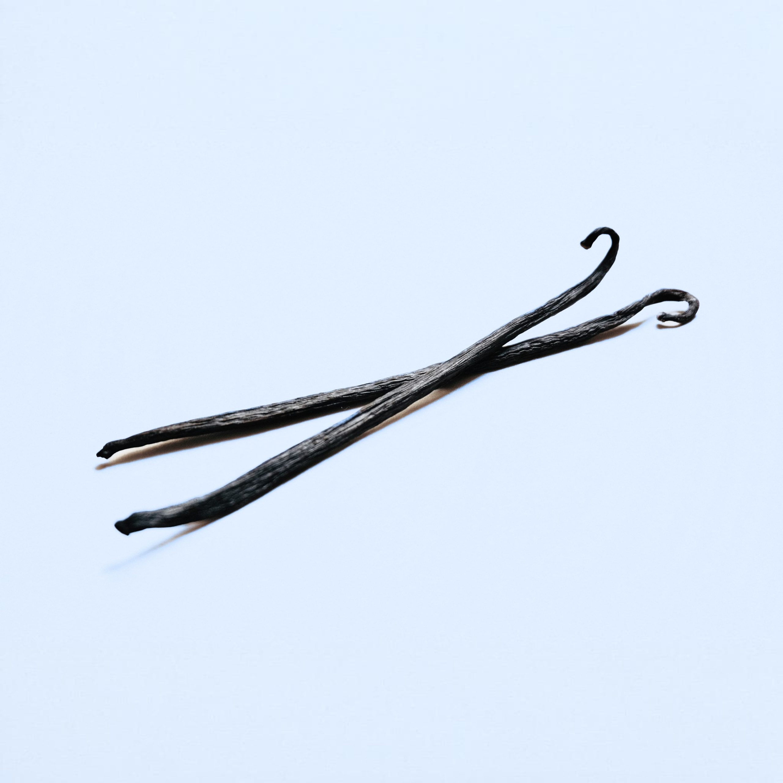 WhatsApp Image 2024-07-28 at 21.57.02